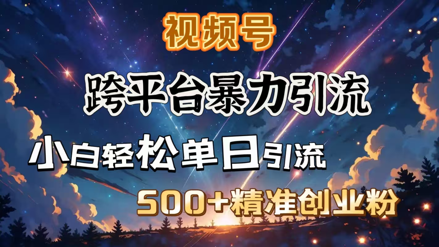 视频号跨平台暴力引流，小白轻松单日引流500＋精准创业粉-欧乐副业网