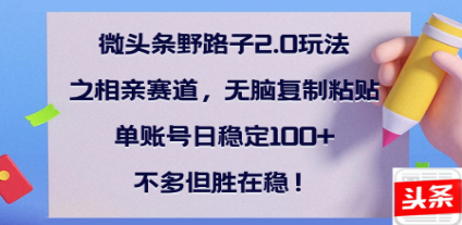 全网首发微头条野路子2.0玩法之相亲赛道，无脑搬砖复制粘贴，单账号日稳定300+保姆级教程-欧乐副业网
