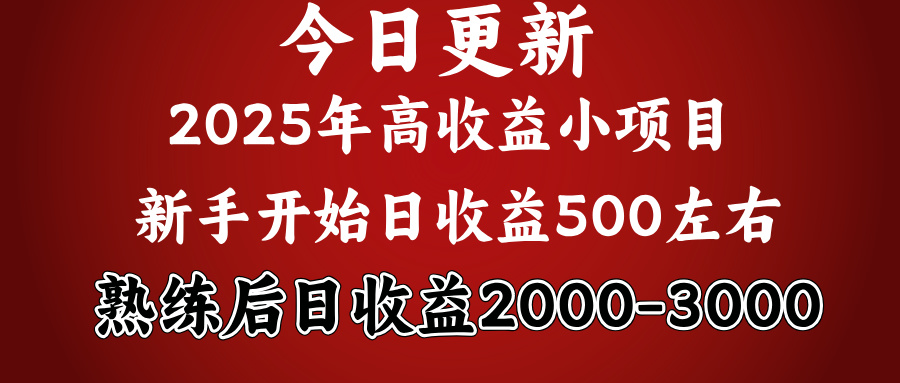 2025开年好项目，新手日收益500+ 熟练掌握后，日收益平均2000多-欧乐副业网