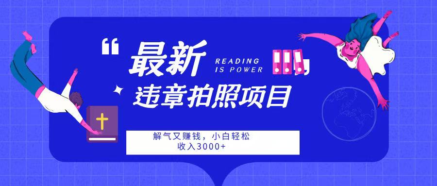 最新违章拍照项目，解气又赚钱，随手一拍，轻松收入3000-欧乐副业网