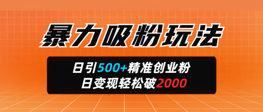 暴力吸粉玩法，日引500+精准创业粉，日变现轻松破2000-欧乐副业网