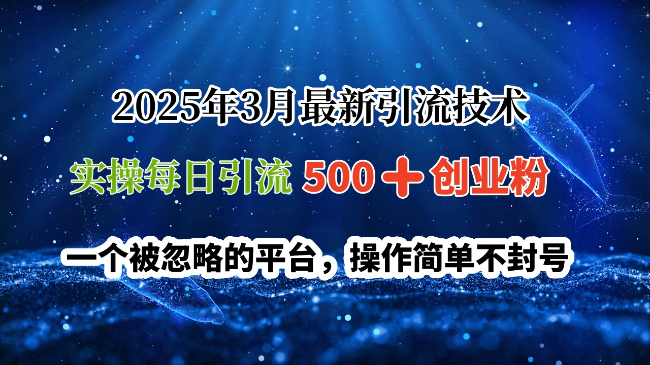 2025年3月最新引流技术，实操每日引流500➕创业粉，一个被忽略的平台，操作简单不封号-欧乐副业网