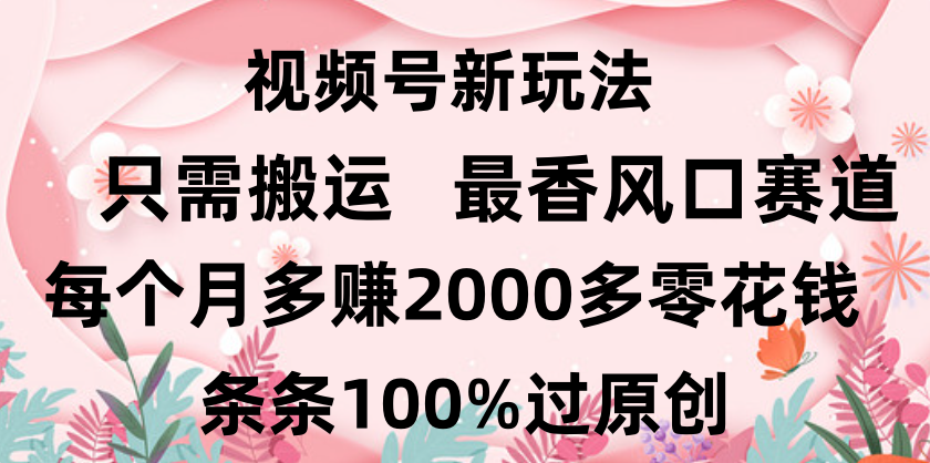 日入2000+，条条100%过原创，视频号最香风口赛道，小白轻松上手-欧乐副业网