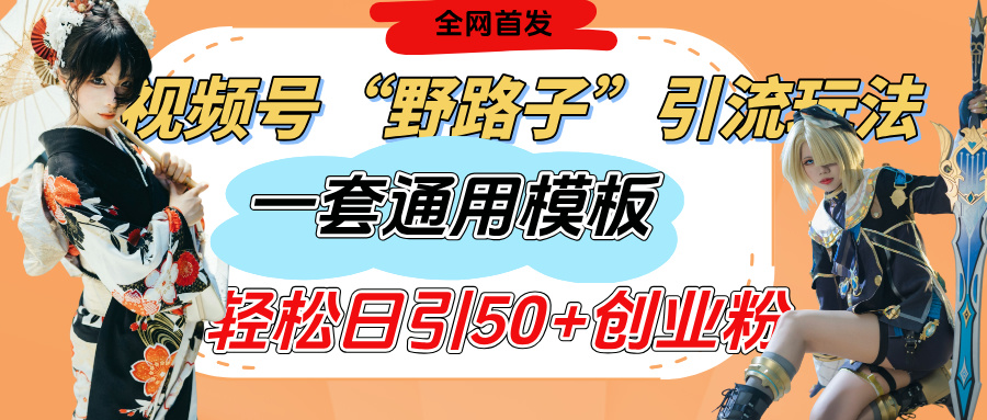 视频号“野路子”玩法，评论区疯狂截流，一套模板单日单号引流50+创业粉-欧乐副业网