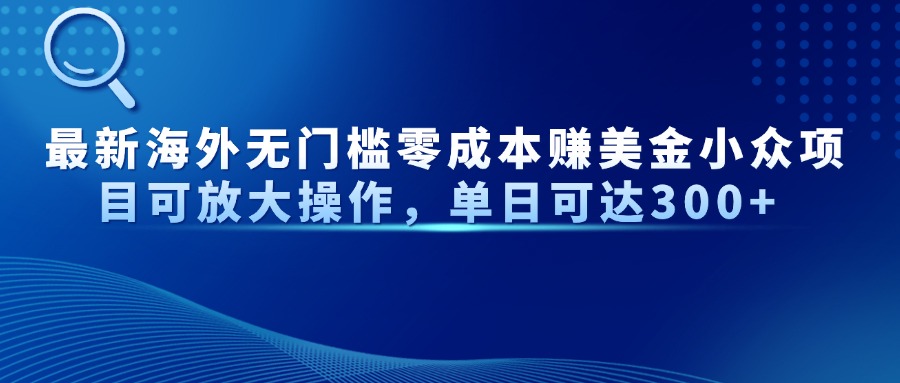 最新海外无门槛美金小众项目可放大操作，单日可达300+-欧乐副业网