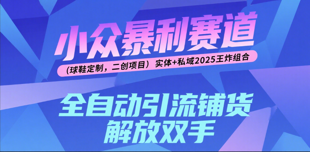 楠—小众暴利赛道（球鞋定制，二创项目）实体+私域2025王炸组合-欧乐副业网