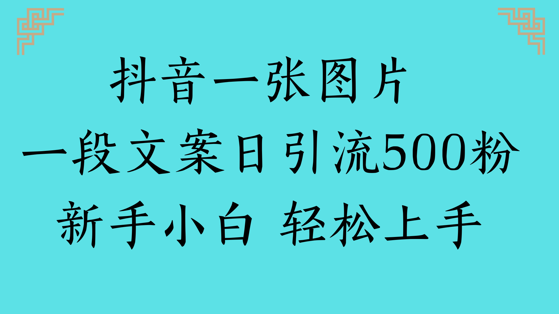 抖音一张图片 一段文案日引流500粉新手小白 轻松上手-欧乐副业网