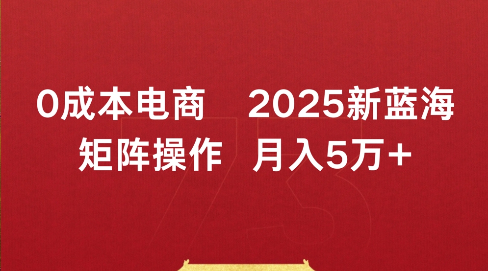 0成本电商2025新蓝海矩阵操作 月入5万+-欧乐副业网