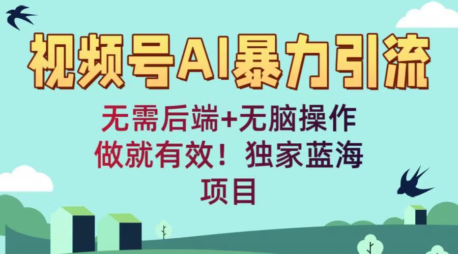 视频号AI暴力引流：无需后端+无脑操作，做就有效！独家蓝海项目-欧乐副业网
