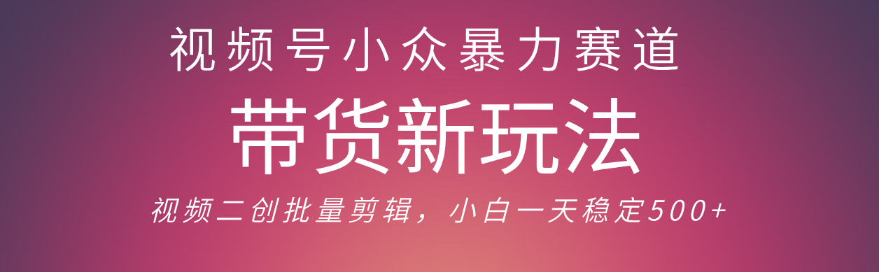 视频号小众暴力赛道，最新带货玩法 小白也能轻松日入500+ 保姆及教程-欧乐副业网