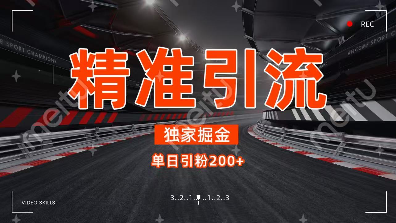 独家野路子精准引流 每日200+-欧乐副业网