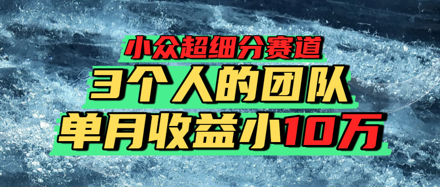 小众超细分赛道,一年百万利润的盘子!-欧乐副业网