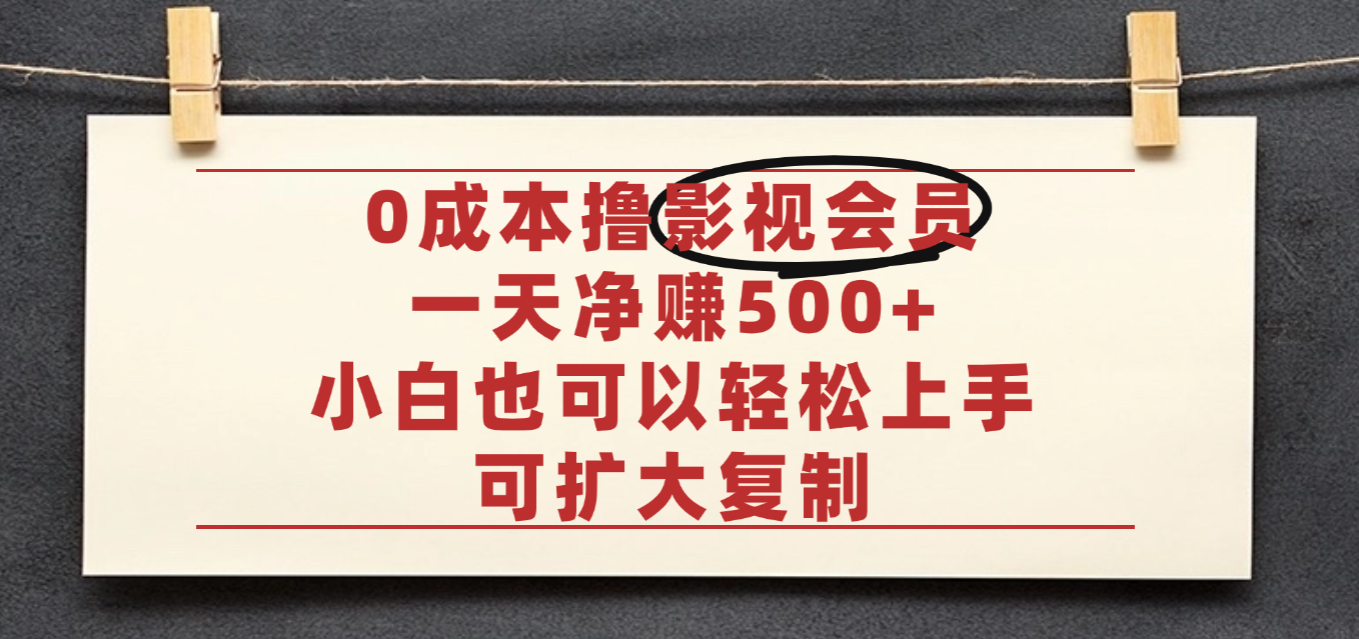 亲测,0成本可批量操作,靠卖影视会员实测月入30000+-欧乐副业网