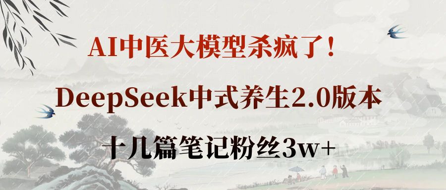 AI中医大模型杀疯了!DeepSeek中式养生2.0版本,十几篇笔记粉丝3w+-欧乐副业网